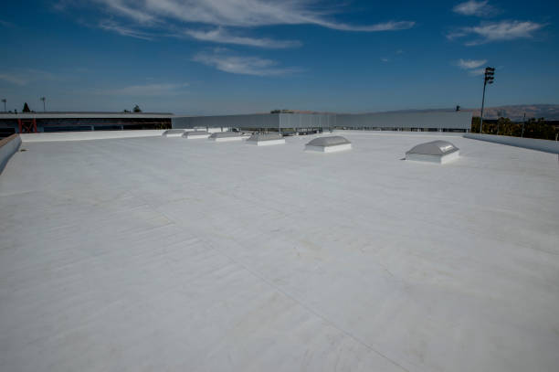Best Roof Insulation Installation  in Woodbury, NY